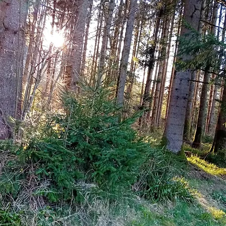 Les Lololange * Gerardmer