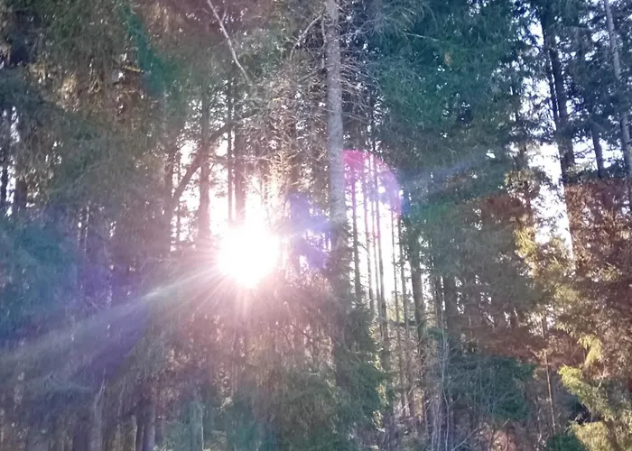 Les Lololange 제라르메르